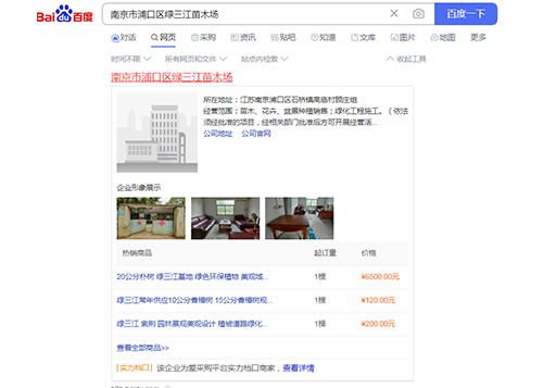 南京市浦口區綠三江苗木場